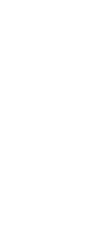 つくね入り雑炊